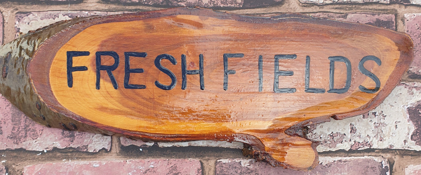 Wood slice (live edge) 12"x5"(inches)