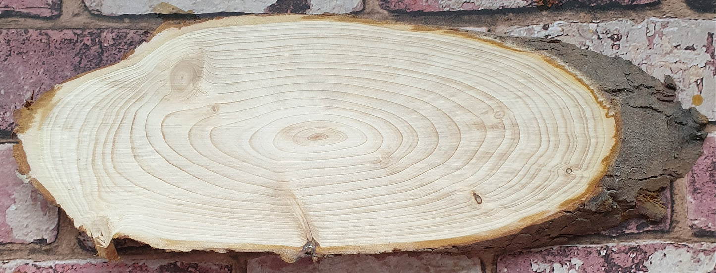 Wood slice (live edge) 12"x5"(inches)