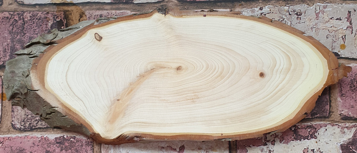 Wood slice (live edge) 12"x5"(inches)